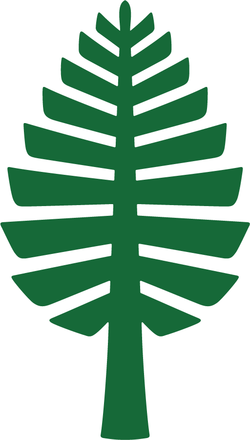 Dartmouth Big Green 2019-Pres Secondary Logo diy iron on heat transfer